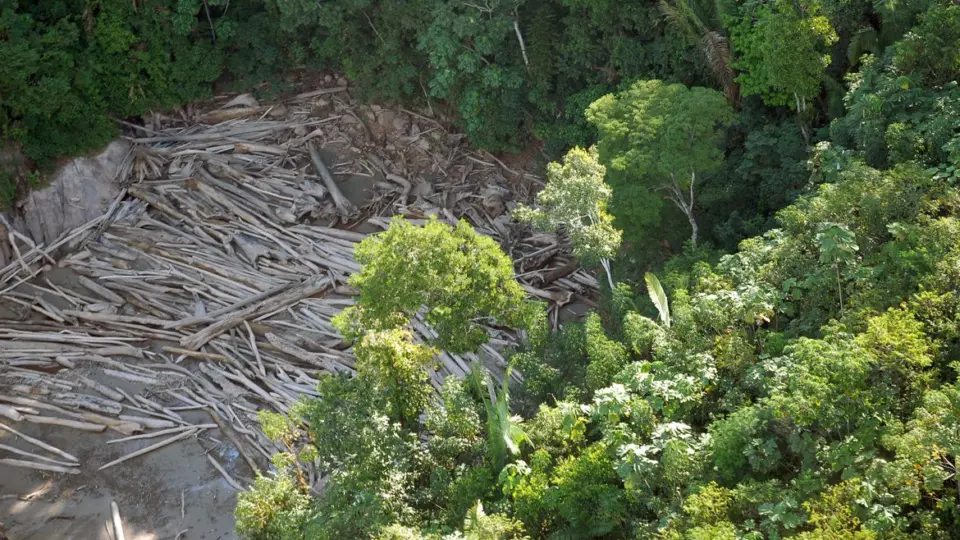 Agricultura assume demandas do agronegócio e pressiona Fazenda para afrouxar restrições a crédito para desmatadores