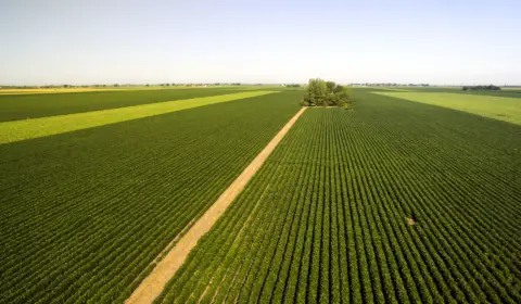 Governo pretende atualizar, em até 90 dias, plano para fomentar produção nacional de fertilizantes