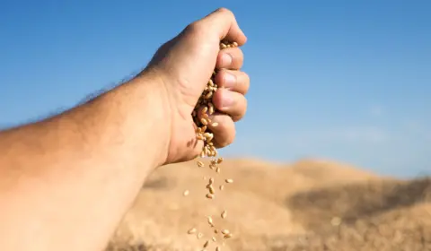 Agroecologia mostra que Brasil não precisa depender de fertilizantes químicos