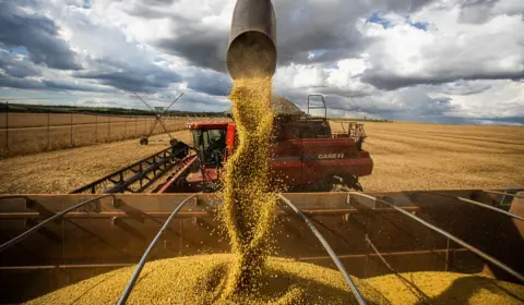 Resultados do agronegócio mostram economia do país cada vez mais dependente do setor