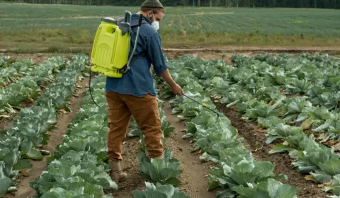 Brasil importa mais da Rússia e mostra a dependência da agricultura nacional em relação ao fertilizante russo