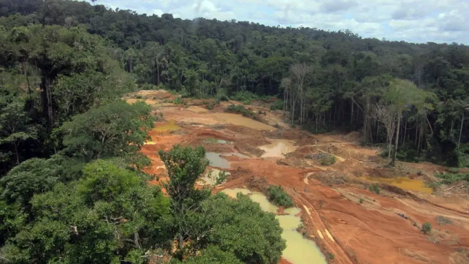 Após 5 meses da força-tarefa do governo em território Yanomami, 90% dos garimpeiros ilegais foram expulsos da região