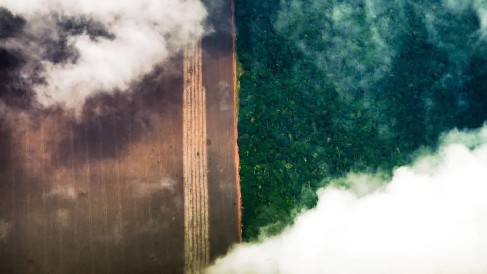 COP28 aprova fundo climático de perdas e danos para países vulneráveis. Brasil deve anunciar financiamento para projetos nesta sexta