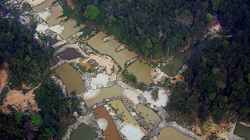 STJ acata pedido da AGU para validar multas por infrações ambientais suspensas no governo Bolsonaro