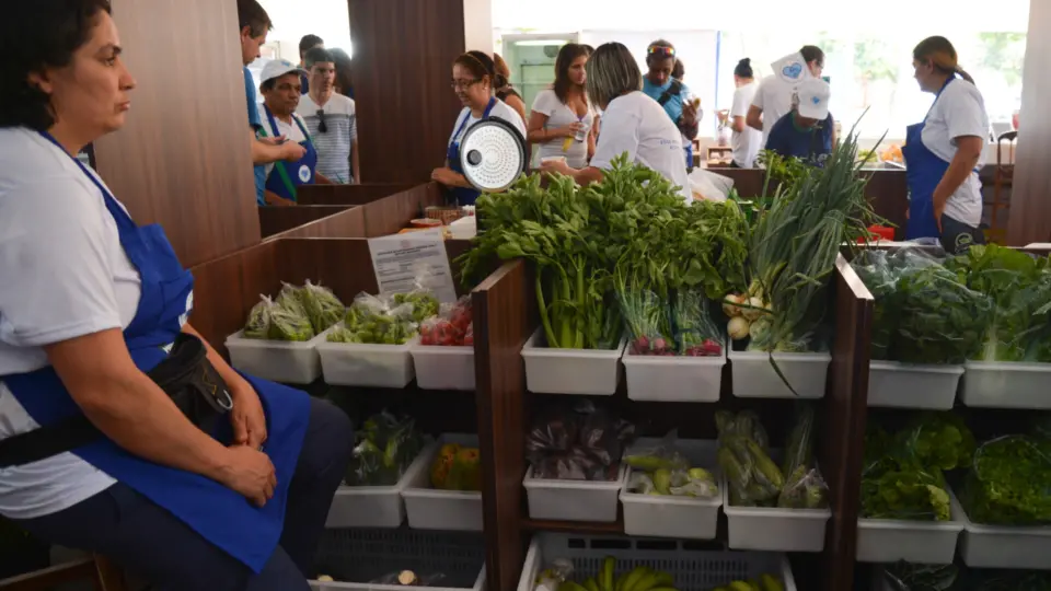 Nove meses após ser criado, auxílio a agricultores atendeu apenas uma pequena fração das famílias a que se destinava