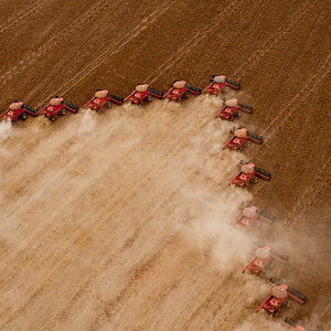 agronegócio, reforma tributária, exportação mundial