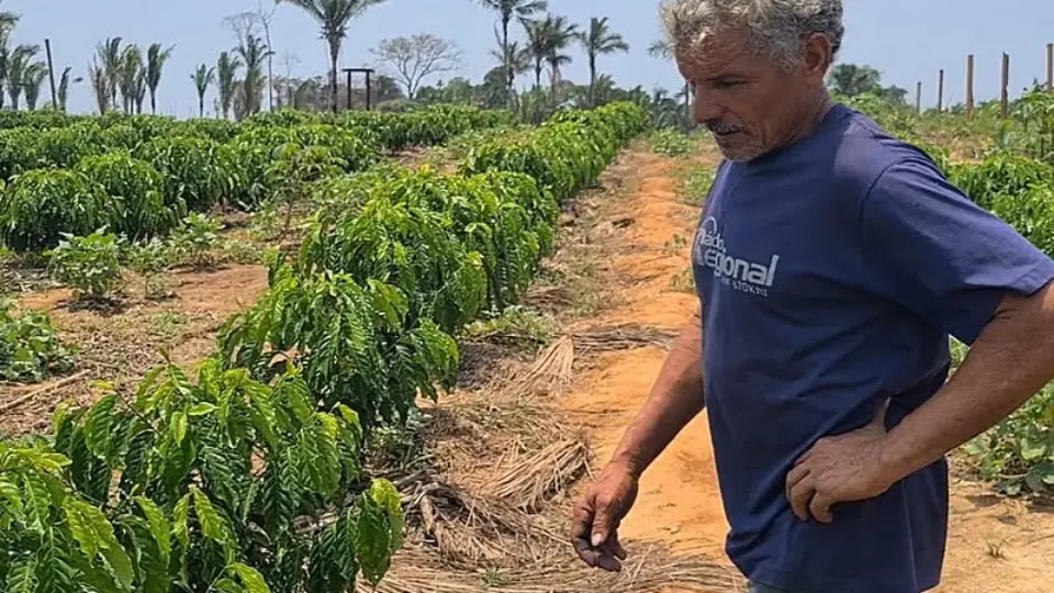 Sob Bolsonaro, produtores de alimentos passam fome na Amazônia