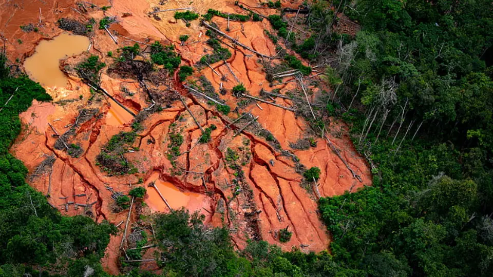 MPF detalha ações e omissões do governo Bolsonaro na crise humanitária da TI Yanomami