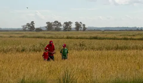 MST faz 20ª Festa da Colheita do Arroz Agroecológico e encara desafios para manter produção