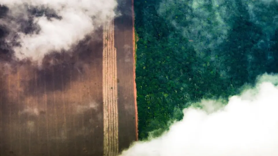 Mudanças climáticas já interferem em secas e cheias na Amazônia