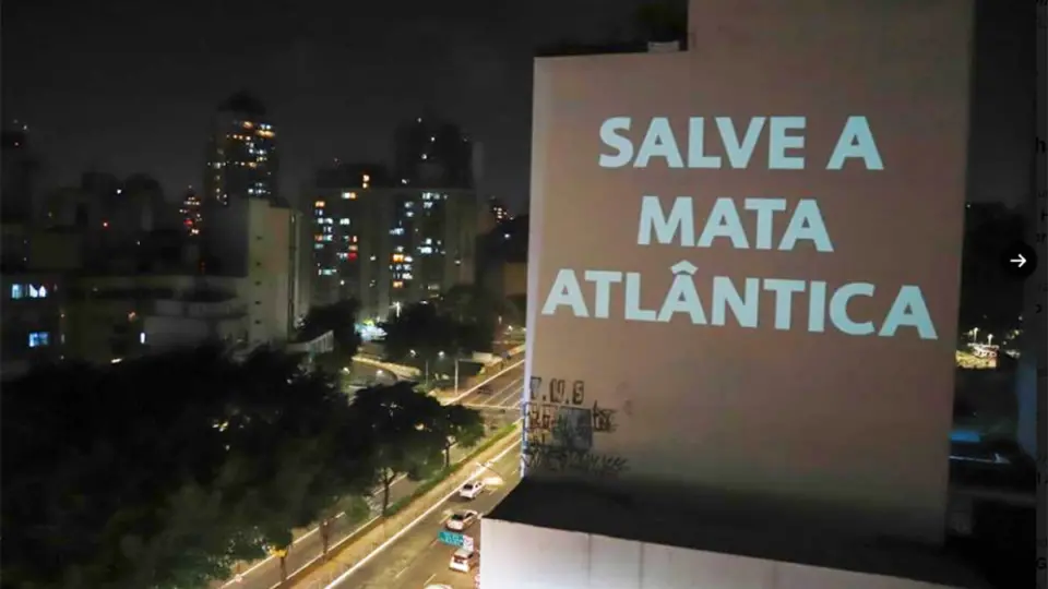 Câmara ignora Senado e aprova MP bolsonarista que facilita destruição da Mata Atlântica. Padilha diz que Lula vai vetar proposta