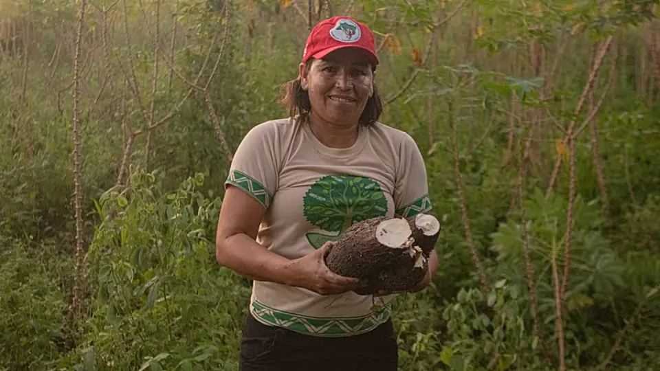 Alvo da CPI, curso do Pronera expande agroecologia em área marcada pelo trabalho escravo em AL