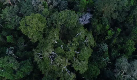 ONU: alterações climáticas estão ‘sem controle’. Brasil reduz desmatamento na Amazônia