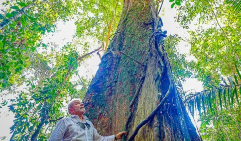 Com Lula à frente, Cúpula da Amazônia buscará unificar ações de preservação da floresta