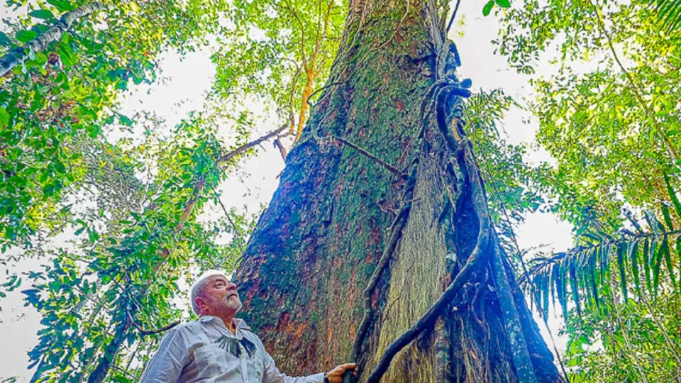 Com Lula à frente, Cúpula da Amazônia buscará unificar ações de preservação da floresta