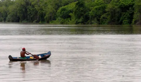 Amazônia Legal terá recursos para projetos de bioeconomia