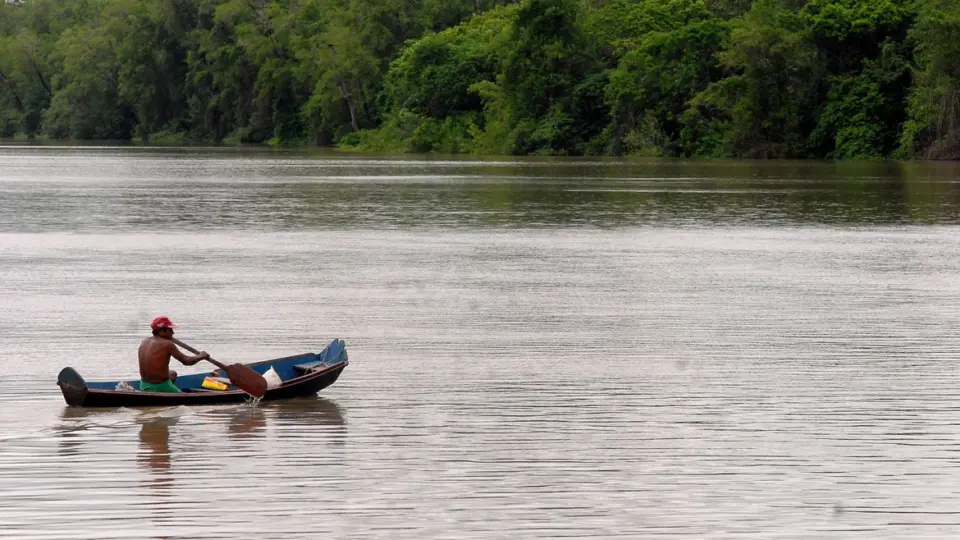 Amazônia Legal terá recursos para projetos de bioeconomia