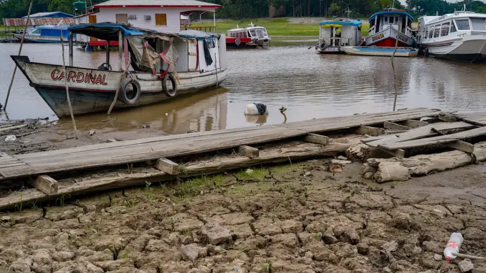 Fundo Amazônia tem R$ 405 mi para combates a incêndios florestais, mas apenas 3 estados recorreram ao mecanismo até o momento