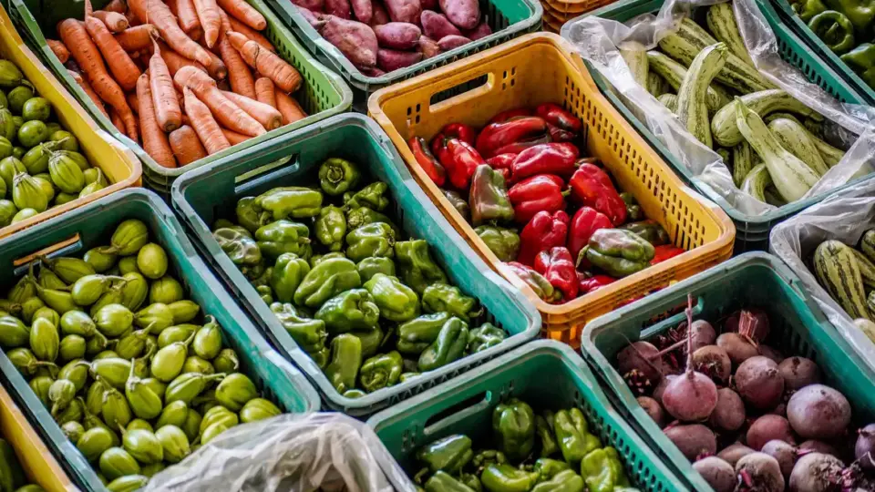 Cesta básica: governo que priorizar isenção tributária de alimentos consumidos pelos mais pobres