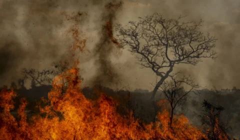 Incêndios provocaram prejuízos de R$ 1,1 bi a municípios. Governo Lula anuncia R$ 514 mi para a Amazônia