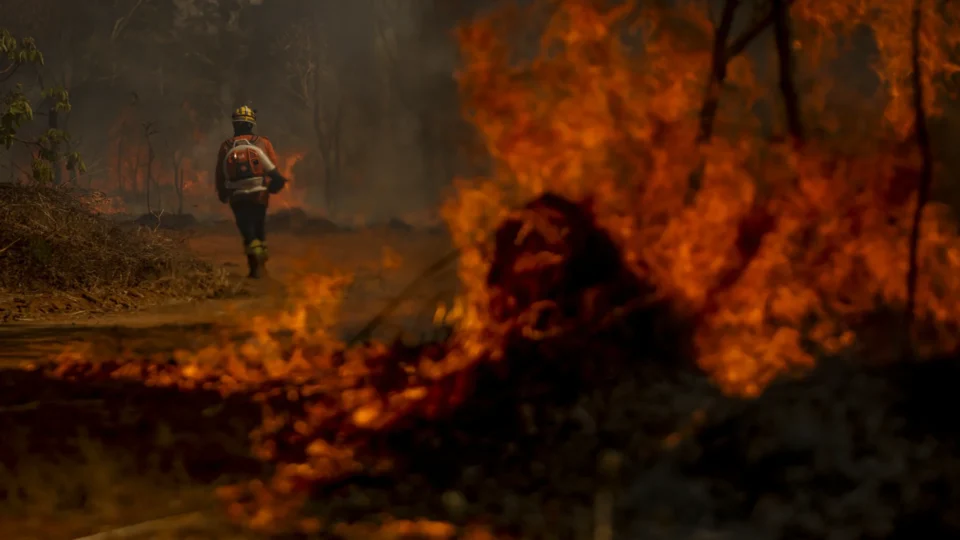 Incêndios já causaram prejuízos de R$ 14,7 bi ao agronegócio, aponta CNA